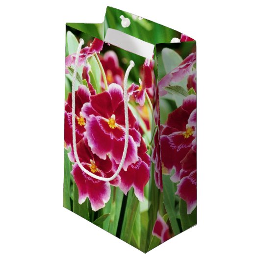 赤エレガント蘭 スモールペーパーバッグ (正面アングル)