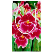 赤エレガント蘭 スモールペーパーバッグ (正面)