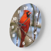 赤エレガント(鳥)ショウジョウコウカンチョウ ラージ壁時計 (傾斜)