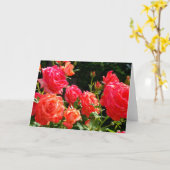 赤オエレガントレンジサンゴバラバラ園 カード (黄色い花)