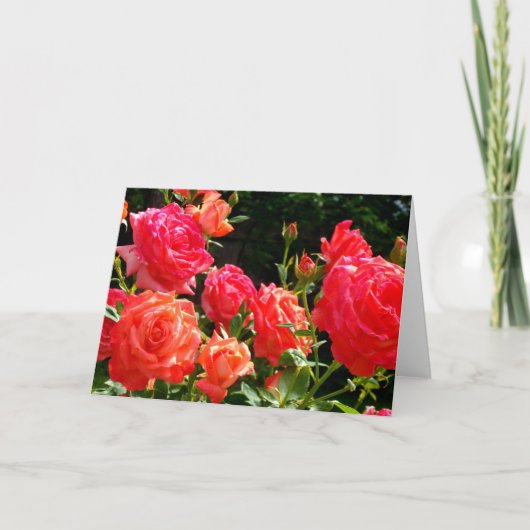 赤オエレガントレンジサンゴバラバラ園 カード (正面)