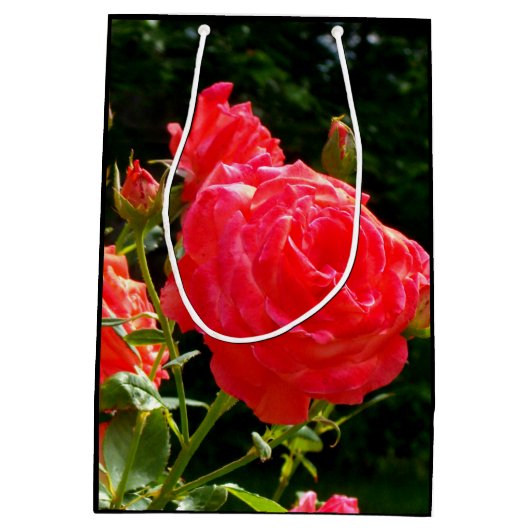 赤オエレガントレンジサンゴバラバラ園 ミディアムペーパーバッグ (裏面)