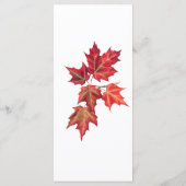 赤オエレガントレンジ紅葉結婚ズ メニュー (裏面)