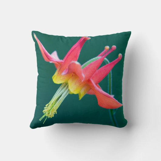 赤オダマキ（植物） クッション (裏面)