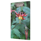 赤オダマキ（植物） クリップボード (左)