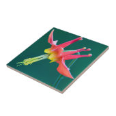 赤オダマキ（植物） タイル (側面)