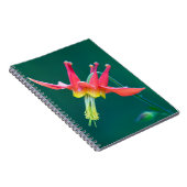 赤オダマキ(植物) ノートブック (右側)