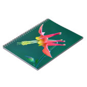 赤オダマキ(植物) ノートブック (左側)