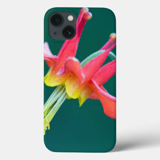 赤オダマキ（植物） Case-Mate iPhoneケース (裏面)