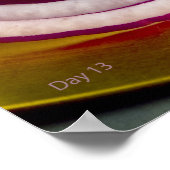 赤オニオンスライス ポスター (角)