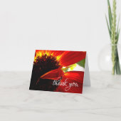 赤オレンジデイジーシック写真ありがとうノートカード サンキューカード (正面)