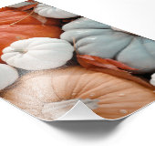 赤オレンジホワイトブルーカボチャ フォトプリント            (角)