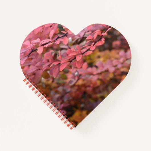 赤オレンジ色の秋葉紅葉自然写真 ノートブック (正面)