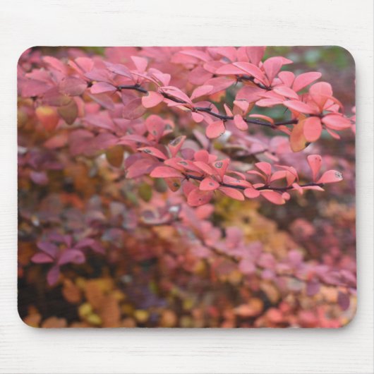 赤オレンジ色の秋葉紅葉自然写真 マウスパッド (正面)
