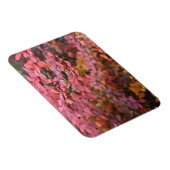 赤オレンジ色の秋葉紅葉自然写真 マグネット (右側)