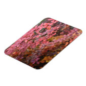 赤オレンジ色の秋葉紅葉自然写真 マグネット (左側)