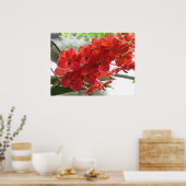 赤オーキッド ポスター (キッチン)