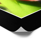 赤オーキッド ポスター (角)