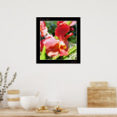 赤オーキッド ポスター (キッチン)