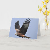 赤カイト カード (黄色い花)