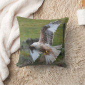 赤カイト クッション (ブランケット)