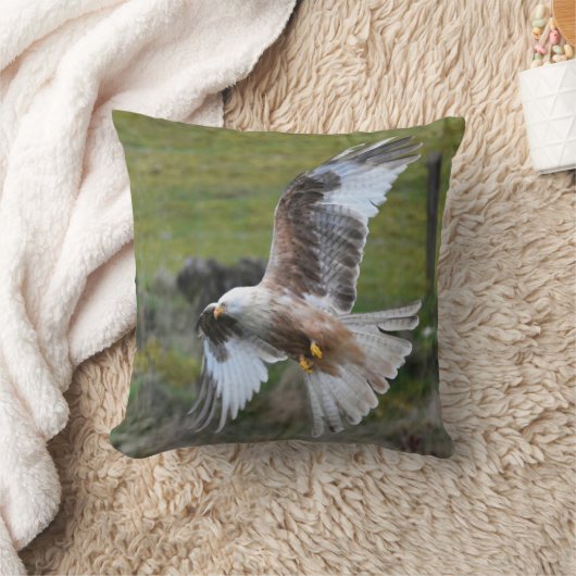 赤カイト クッション (ブランケット)