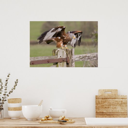 赤カイト ポスター (キッチン)