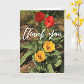 赤カジュアルと黄色のチューリップ カード (黄色い花)