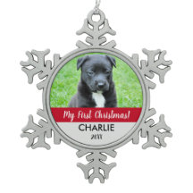 赤カスタム犬フォトパピーの初めてのクリスマス