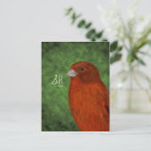 赤カナリア ポストカード (スタンド正面)