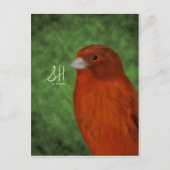 赤カナリア ポストカード (正面)