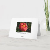 赤カメリア。ウェールズ,カーディフ,ビュートパーク カード (裏面)