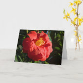 赤カメリア。ウェールズ,カーディフ,ビュートパーク カード (黄色い花)