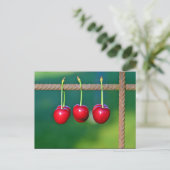 赤カラフルさくらんぼフルーツ写真 ポストカード (スタンド正面)