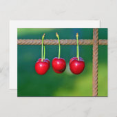 赤カラフルさくらんぼフルーツ写真 ポストカード (正面/裏面)