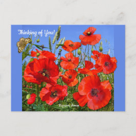 赤カラフルポピーフィールドカスタム文字 ポストカード