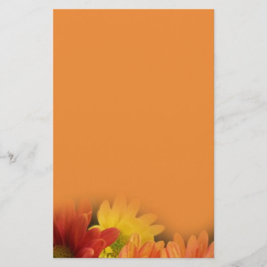 赤カラフル色、黄色、オレンジ色のデイジーの花。 便箋 (正面)