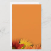 赤カラフル色、黄色、オレンジ色のデイジーの花。 便箋 (正面/裏面)