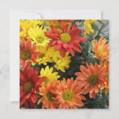 赤カラフル色、黄色、オレンジ色のデイジー結婚の花 招待状 (裏面)