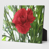 赤カーネーション斑 フォトプラーク (側面)