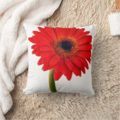 赤ガーベラデイジー花フローラデイジー花 クッション (ブランケット)