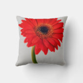 赤ガーベラデイジー花フローラデイジー花 クッション (裏面)