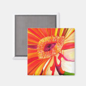 赤ガーベラ花の水絵画色の芸術 マグネット (正面/裏面)