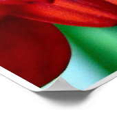 赤ガーベラ ポスター (角)