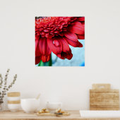 赤ガーベラ ポスター (キッチン)