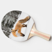 赤キツネイン白雪 卓球ラケット (横)