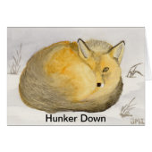 赤キツネ元気 (正面横)