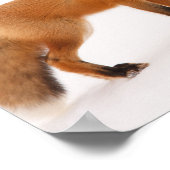 赤キツネ自然野生生物写真 ポスター (角)