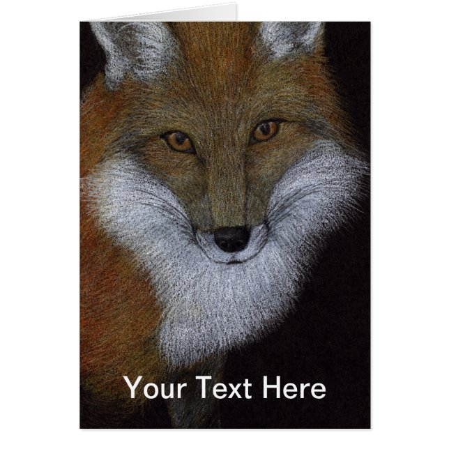 赤キツネ (正面)