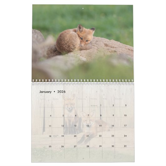 赤キツネ カレンダー (1月 2026)